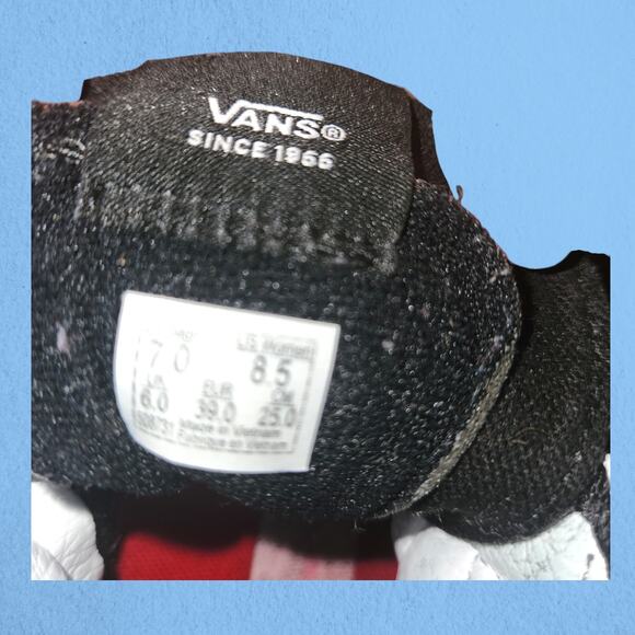 Eye-Catching Vans Sk8-Hi Shoes! - Picture 7 of 7